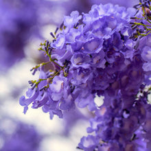 Load image into Gallery viewer, Women's All Mountain Raptor Jersey | Camo Purple Haze