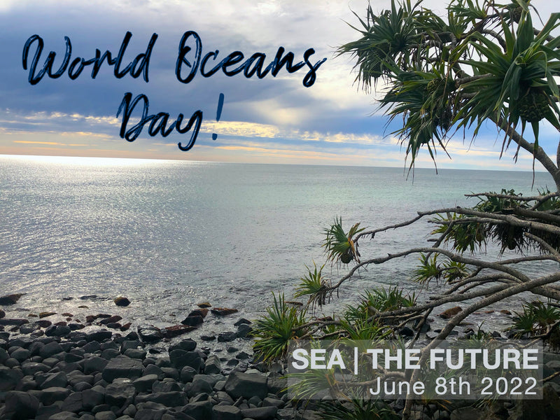 World Oceans Day | 08-06-22 | Sea The Future